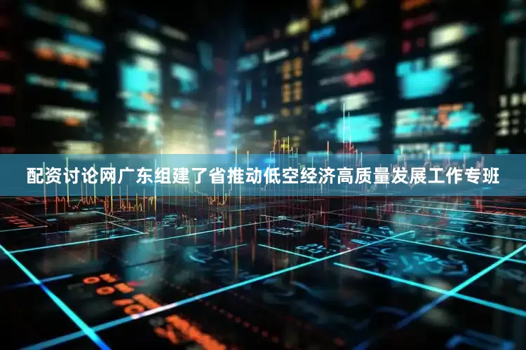 配资讨论网广东组建了省推动低空经济高质量发展工作专班