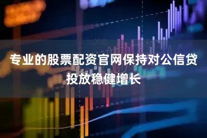 专业的股票配资官网保持对公信贷投放稳健增长