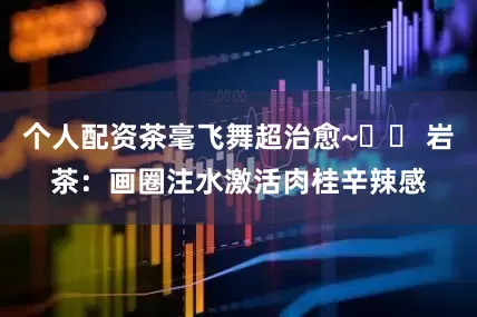 个人配资茶毫飞舞超治愈~▫️ 岩茶：画圈注水激活肉桂辛辣感